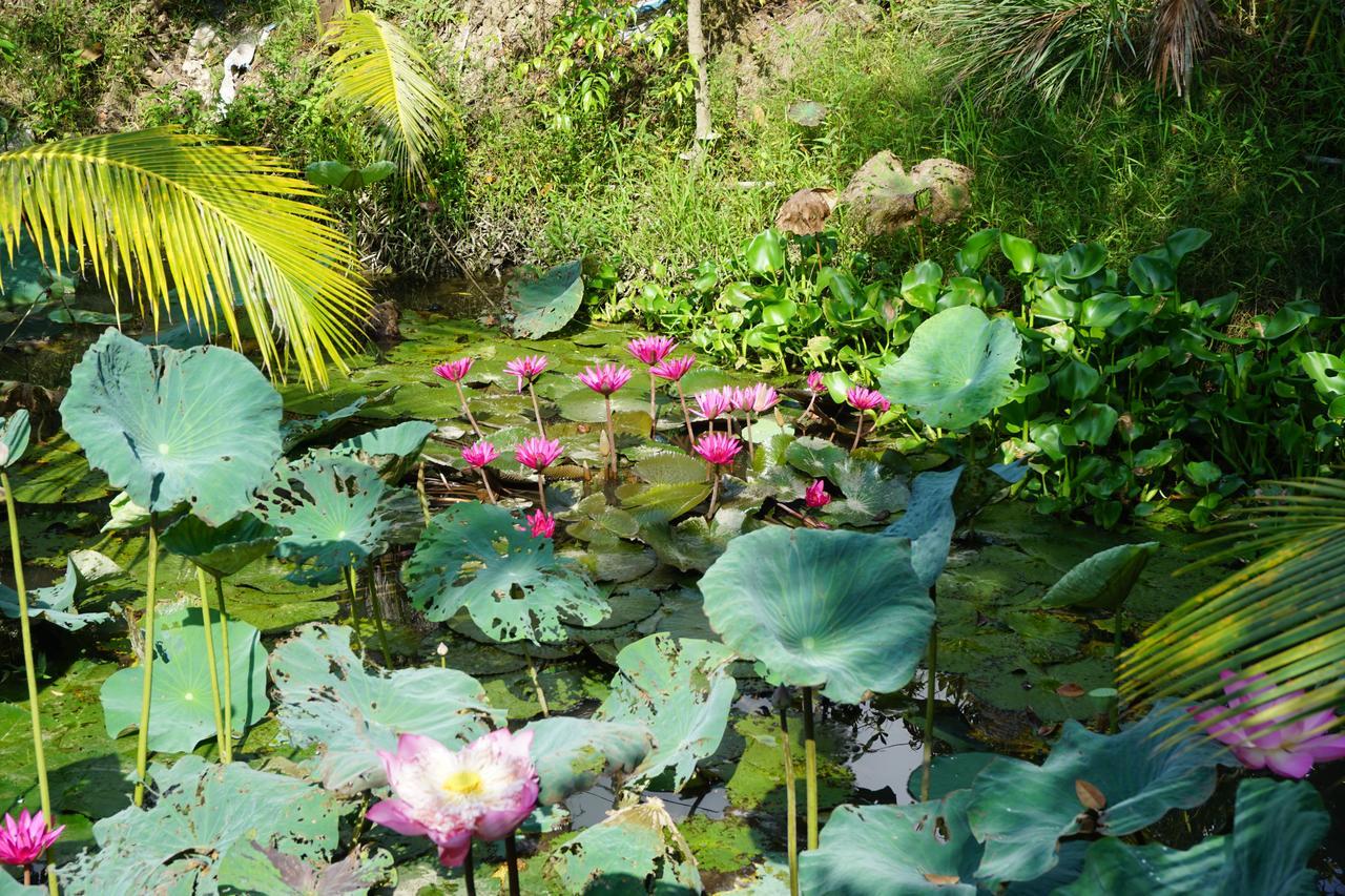 Mekong Way Homestay Cai Be Εξωτερικό φωτογραφία